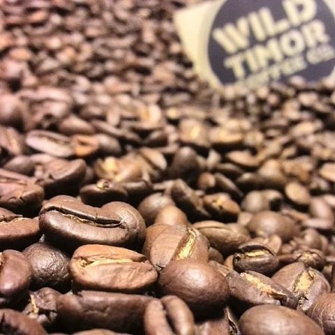 From Small Beginnings Pt 2: Wild Timor's First Roast