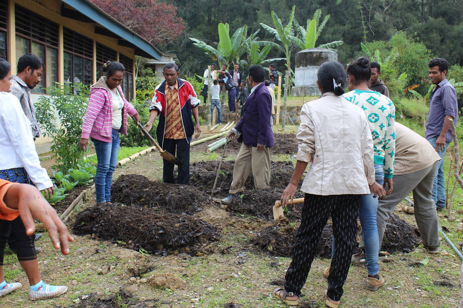 Permaculture in Timor-Leste