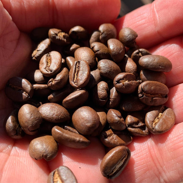 This Melbourne Resident is using a Unique Method to Roast Coffee at Home!